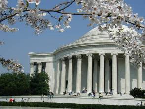 Washington DC Cherry Blossoms