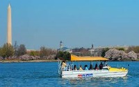 Washington DC Duck Tours